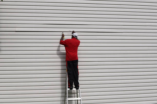 Best Fascia and Soffit Installation  in Soperton, GA